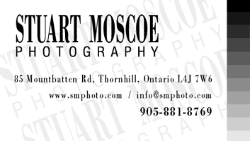 Stuart Moscoe Photograpy 905-881-8769